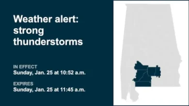 Alert: Strong Thunderstorms Forecast for Mobile & Baldwin Counties This Sunday