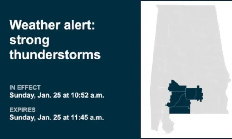 Alert: Strong Thunderstorms Forecast for Mobile & Baldwin Counties This Sunday