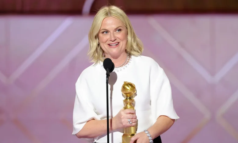 Amy Poehler Wins For ‘Good Hang