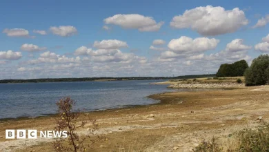 Anglian Water considering water saving measures if winter is dry