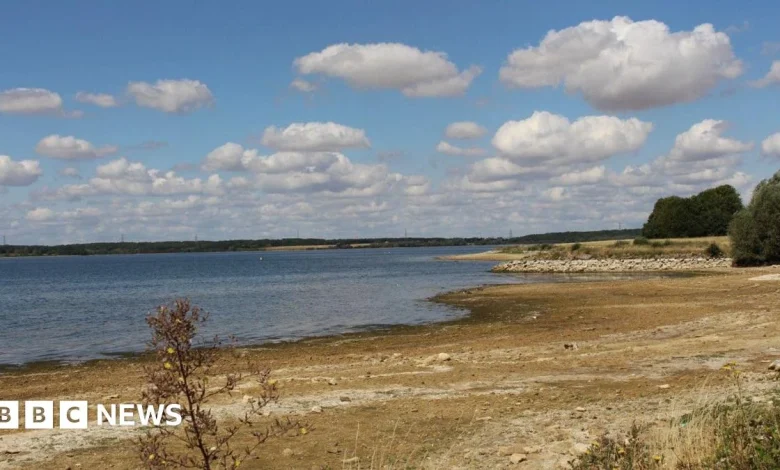 Anglian Water considering water saving measures if winter is dry