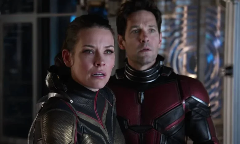 'Ant-Man and the Wasp' Star Evangeline Lilly Has Devastating Health Diagnosis
