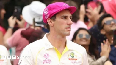 Ashes 2025-26: What is the Pink Test?