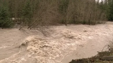 Atmospheric river prompts evac order, alert in Fraser Valley, Vancouver Island