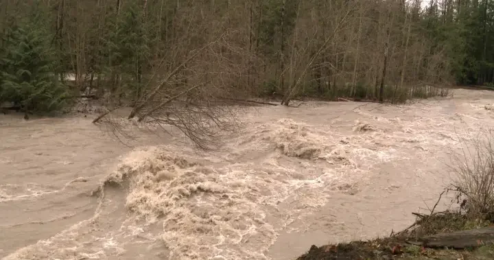 Atmospheric river prompts evac order, alert in Fraser Valley, Vancouver Island