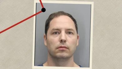 Au pair testifies, says Virginia man stabbed wife, framed stranger