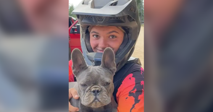 Autopsy reveals dingoes not likely to have killed Canadian found dead on Australian beach