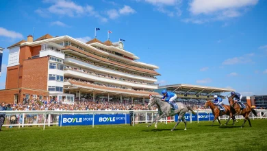BOYLE Sports Boosts Sponsorship With Two New Racedays
