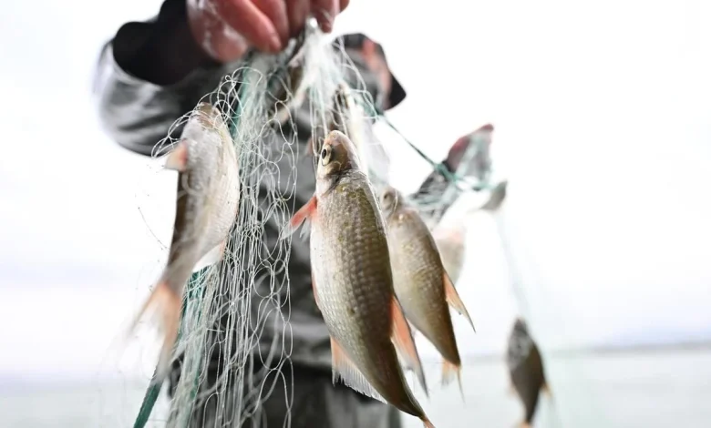 Baden-Württemberg: BW-Newsticker am Morgen: Angler vs. Berufsfischer: Zoff um Fischfang im Bodensee, Schüler frieren wochenlang bei 16 Grad in Klassenzimmer, Nach Hackerangriff Daten von bis zu 20.000 Menschen im Land betroffen