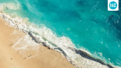 Beach vacays, parties till sunrise, yoga retreats; this budget getaway 2026 offers it all | Travel