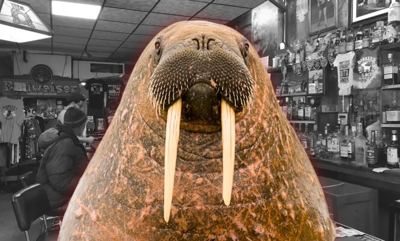 Beloved walrus penis stolen from N.J. cheesesteak icon. Owner is blubbering mad.
