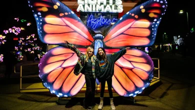 Best things to do this week in LA and SoCal: Jan. 5 to Jan. 8