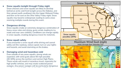 Big part of Michigan is in snow squall danger zone through Friday