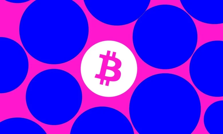 Billion-dollar Bitcoin hacker Ilya Lichtenstein thanks Trump for early prison release