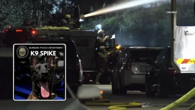 Bodycam video shows moments leading up to fatal shooting of Burbank police K-9 Spike