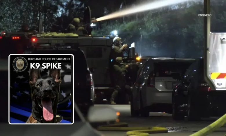 Bodycam video shows moments leading up to fatal shooting of Burbank police K-9 Spike