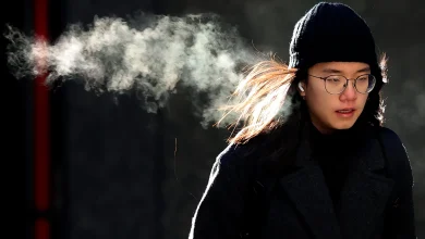 Boston MA weather: Jan. 20, 2026