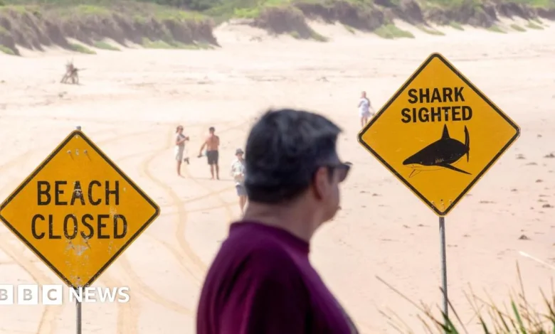 Boy, 12, dies from injuries after Sydney shark attack