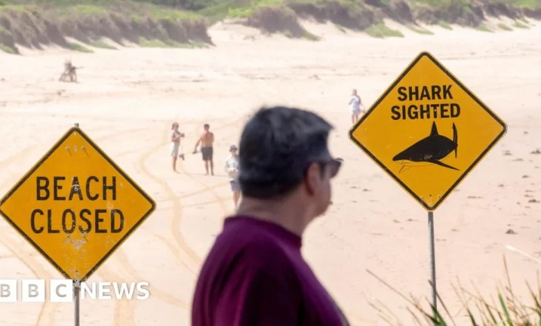 Boy, 12, dies from injuries after Sydney shark attack