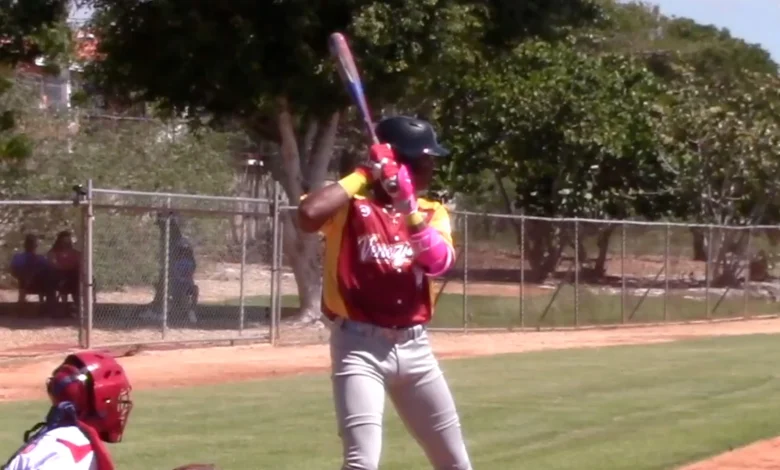 Breaking Down All 30 MLB International Signing Classes For 2026