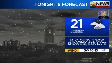 Breezy and mainly dry New Year's Day