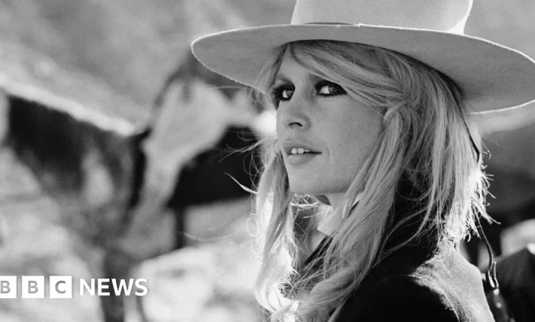 Brigitte Bardot Foundation issues warning about scam memorabilia