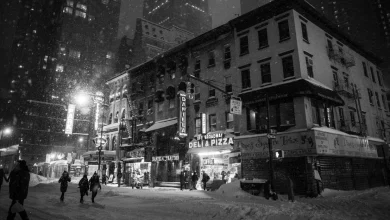 Broadway Performers Push Back on 'Show Must Go On' Expectations Amid Severe Weather