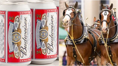 Budweiser Drops Incredible Super Bowl Ad: WATCH