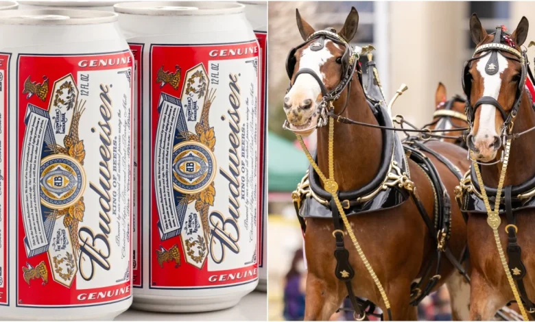 Budweiser Drops Incredible Super Bowl Ad: WATCH