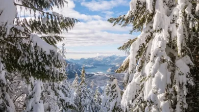 CEC draw: Express Entry cut-off score drops to a new low as thousands of candidates receive invitations