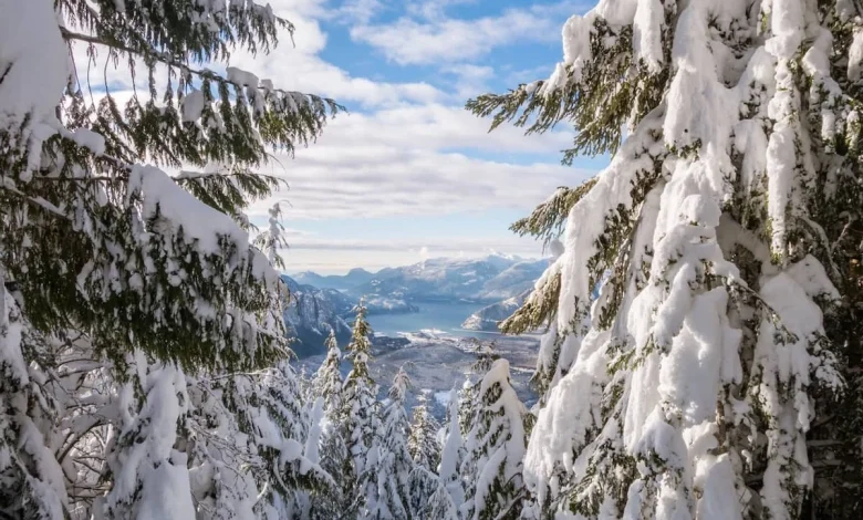 CEC draw: Express Entry cut-off score drops to a new low as thousands of candidates receive invitations