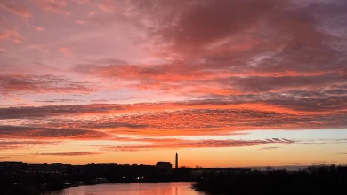 CWG Live: Cold and gusty Thursday, then mostly chilly ahead - The Washington Post