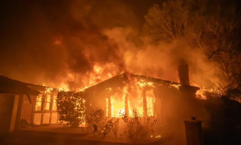 California considers new wildfire rules for plants next to homes : NPR