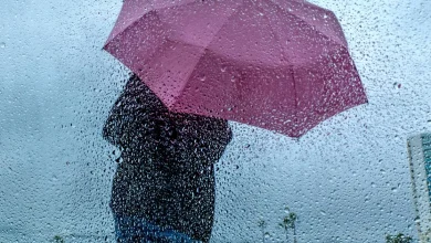 California is drought-free for the first time in a quarter-century