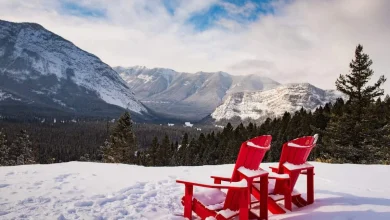 Canada holds second-largest Canadian Experience Class draw in history