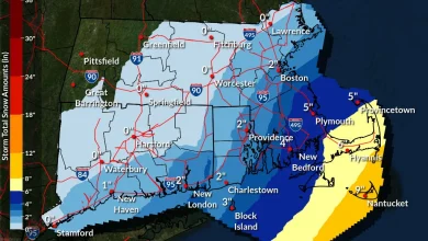 Cape Cod could face blizzard-like conditions