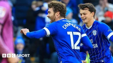 Cardiff City 1-0 Wigan Athletic: Calum Chambers scores stunner