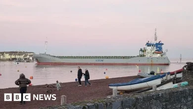 Cargo ship runs aground in Teignmouth harbour