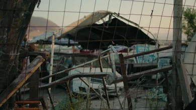 Cars stolen in U.S. are being smuggled to Mexico, where they're almost impossible to recover