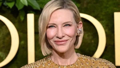 Cate Blanchett to Star in 'How to Train Your Dragon 2' Movie, Reprising Valka