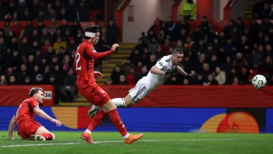 Celtic 'open talks' with Noah for dominant forward Nardin Mulahusejnovic