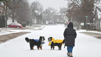 Charlotte weather: Ice storm leaves roads dangerous to use