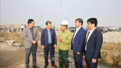 Chegar a um consenso sobre projetos relacionados ao Aeroporto Internacional de Gia Binh.