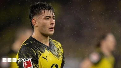 Chelsea recall Anselmino from Dortmund loan