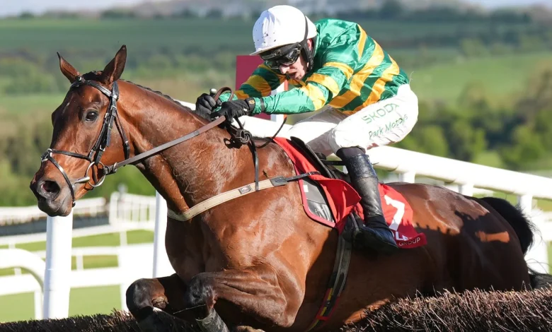 Cheltenham tips: Spillane's Tower fancied to see off Grey Dawning on Trials Day