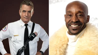 'Chicago Fire's Dermot Mulroney To Go On Hiatus; Rob Morgan Joins Cast