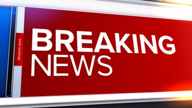 Cicero shooting: Angel Dominguez, teen accused in S. 58th Ave. att. robbery, shot, killed by other teen's relative, officials say