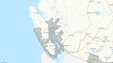 Coastal flooding statement issued for most of Vancouver Island coast