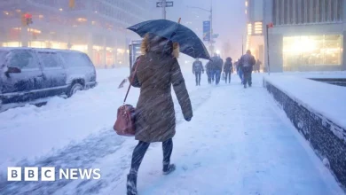 Cold and data centres drive up US greenhouse gas emissions