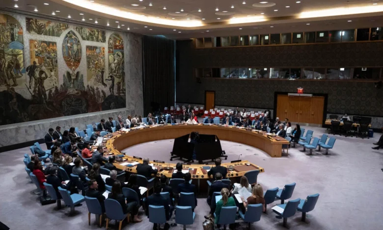 Colombia asume mandato como miembro del Consejo de Seguridad de la ONU